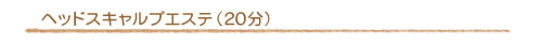 ���s�s ���e�� ���e�@ �_���[�W�P�A �w�b�h�X�L�����v�G�X�e